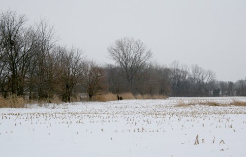 Property photo 11 - 87.6+/- Acres Offered in 4 Tracts