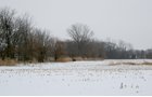 Property photo 11 - 87.6+/- Acres Offered in 4 Tracts