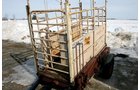 Property photo 74 - AREA FARMERS Surplus Auction