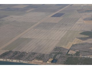Property photo 9 - Land Auction of 3,915 Total Acres - 2,700 Acres Productive Farmland