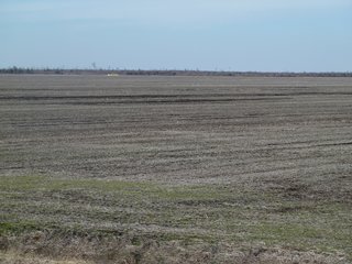 Property photo 2 - Land Auction of 3,915 Total Acres - 2,700 Acres Productive Farmland