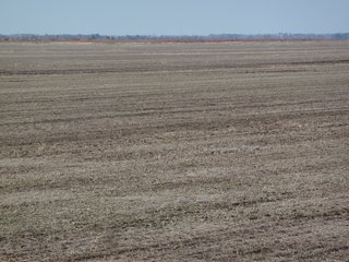 Property photo 6 - Land Auction of 3,915 Total Acres - 2,700 Acres Productive Farmland
