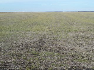 Property photo 1 - Land Auction of 3,915 Total Acres - 2,700 Acres Productive Farmland