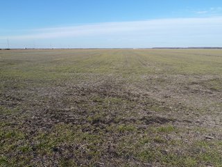 Property photo 12 - Land Auction of 3,915 Total Acres - 2,700 Acres Productive Farmland