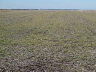 Property photo 4 - Land Auction of 3,915 Total Acres - 2,700 Acres Productive Farmland