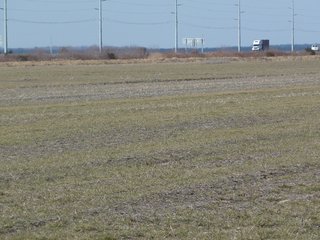 Property photo 13 - Land Auction of 3,915 Total Acres - 2,700 Acres Productive Farmland