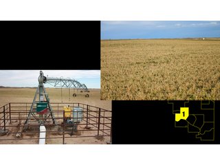 Property photo 3 - 9,698 Acres Offered in 14 Tracts - N.W. Oklahoma. 2,700 Irrigated Acres