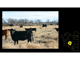 Property photo 9 - 9,698 Acres Offered in 14 Tracts - N.W. Oklahoma. 2,700 Irrigated Acres