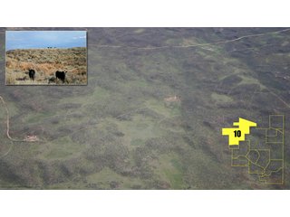 Property photo 30 - 9,698 Acres Offered in 14 Tracts - N.W. Oklahoma. 2,700 Irrigated Acres