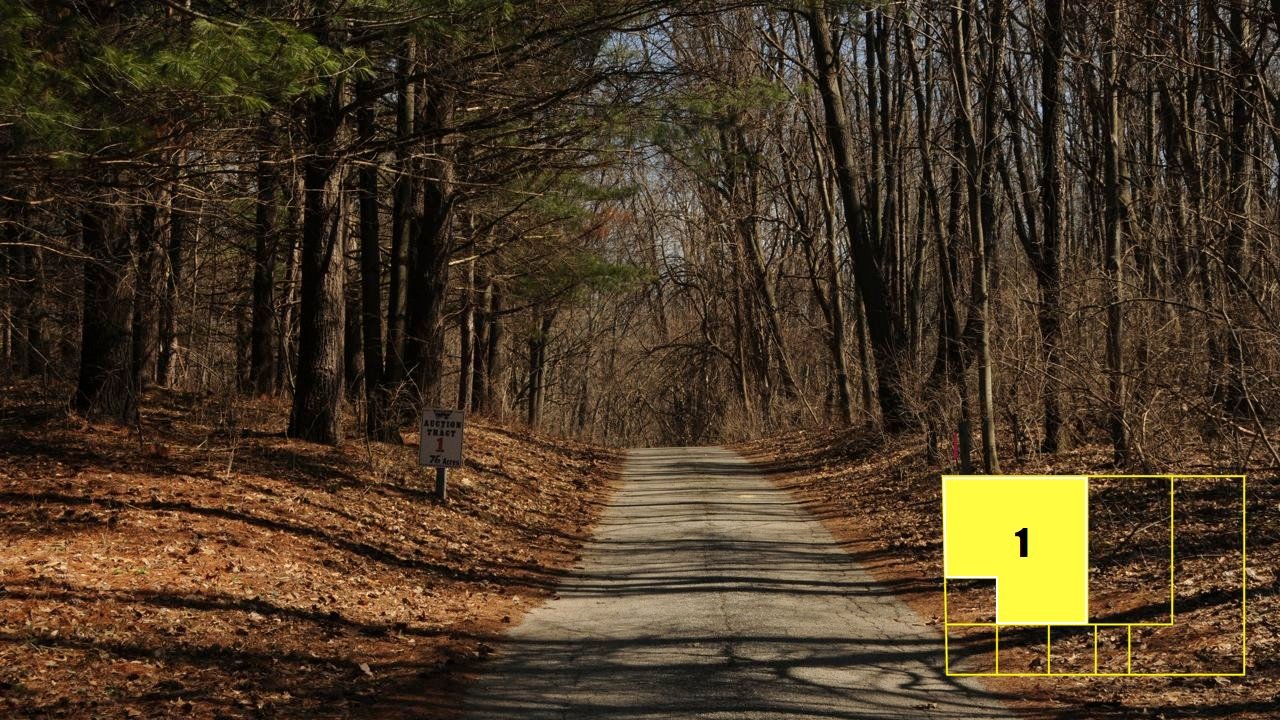 Property photo 2 - Real Estate Auction - 238 Acres Offered in 8 Tracts