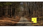 Property photo 2 - Real Estate Auction - 238 Acres Offered in 8 Tracts