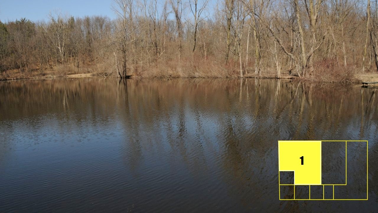 Property photo 5 - Real Estate Auction - 238 Acres Offered in 8 Tracts