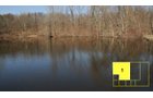 Property photo 5 - Real Estate Auction - 238 Acres Offered in 8 Tracts