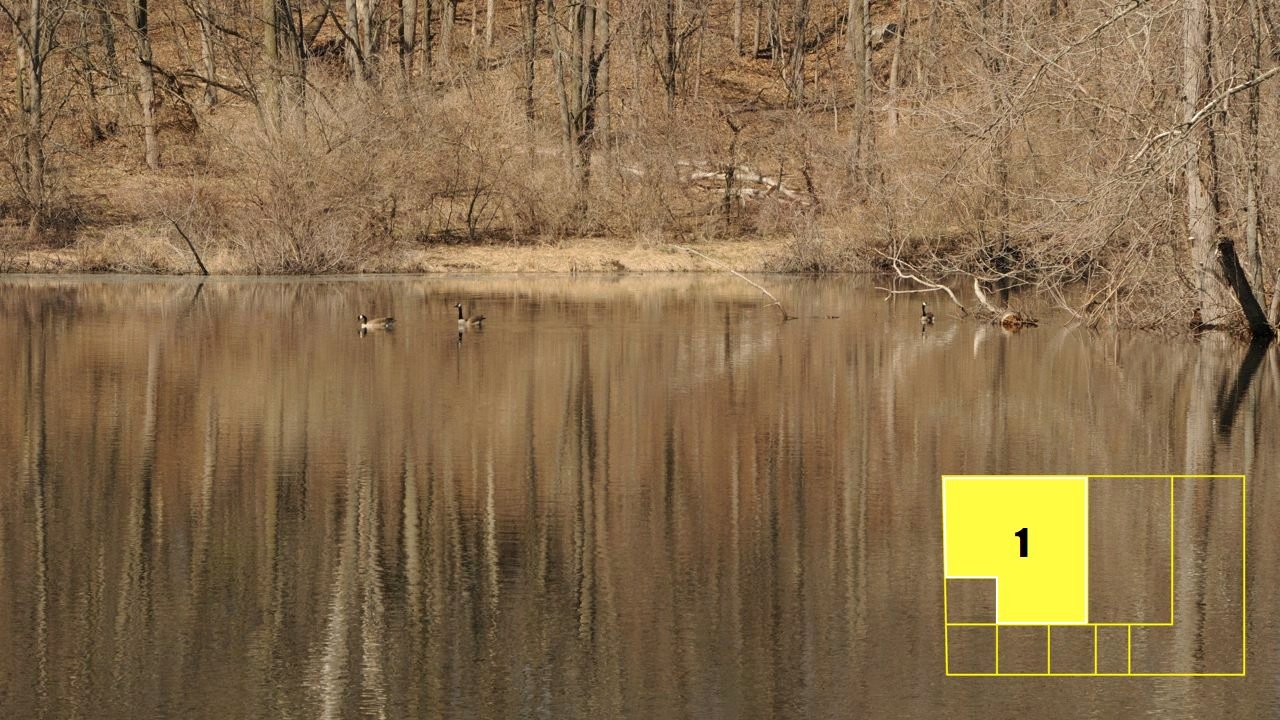 Property photo 6 - Real Estate Auction - 238 Acres Offered in 8 Tracts