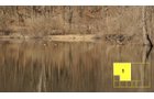 Property photo 6 - Real Estate Auction - 238 Acres Offered in 8 Tracts