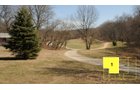 Property photo 8 - Real Estate Auction - 238 Acres Offered in 8 Tracts