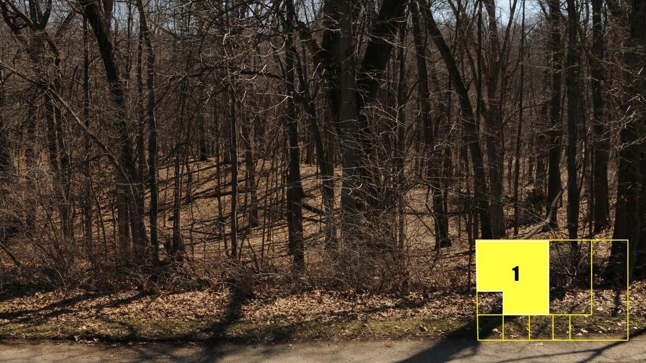 Property photo 9 - Real Estate Auction - 238 Acres Offered in 8 Tracts