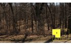 Property photo 9 - Real Estate Auction - 238 Acres Offered in 8 Tracts