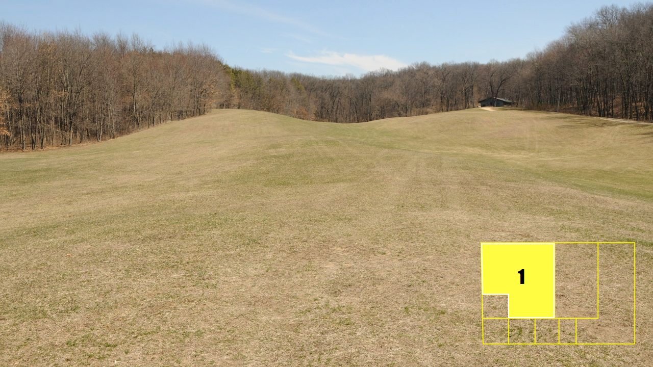 Property photo 11 - Real Estate Auction - 238 Acres Offered in 8 Tracts