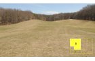 Property photo 11 - Real Estate Auction - 238 Acres Offered in 8 Tracts