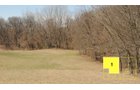 Property photo 64 - Real Estate Auction - 238 Acres Offered in 8 Tracts