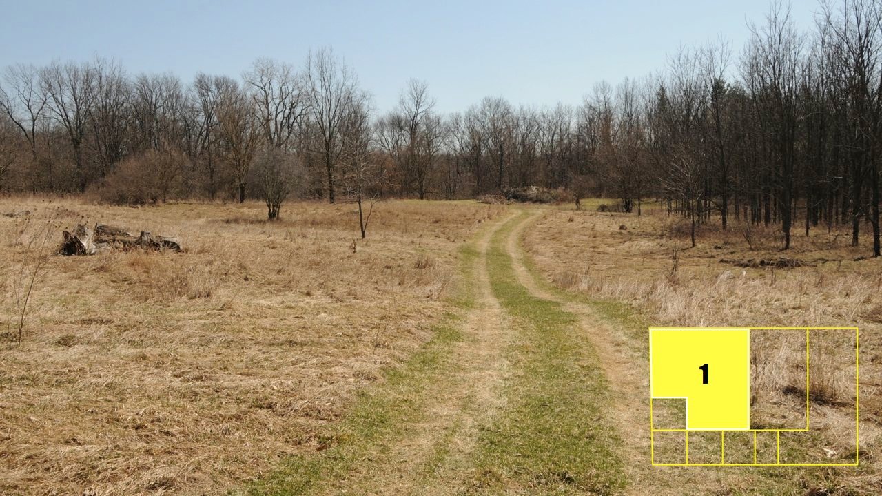 Property photo 12 - Real Estate Auction - 238 Acres Offered in 8 Tracts