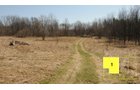 Property photo 12 - Real Estate Auction - 238 Acres Offered in 8 Tracts