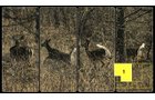 Property photo 13 - Real Estate Auction - 238 Acres Offered in 8 Tracts