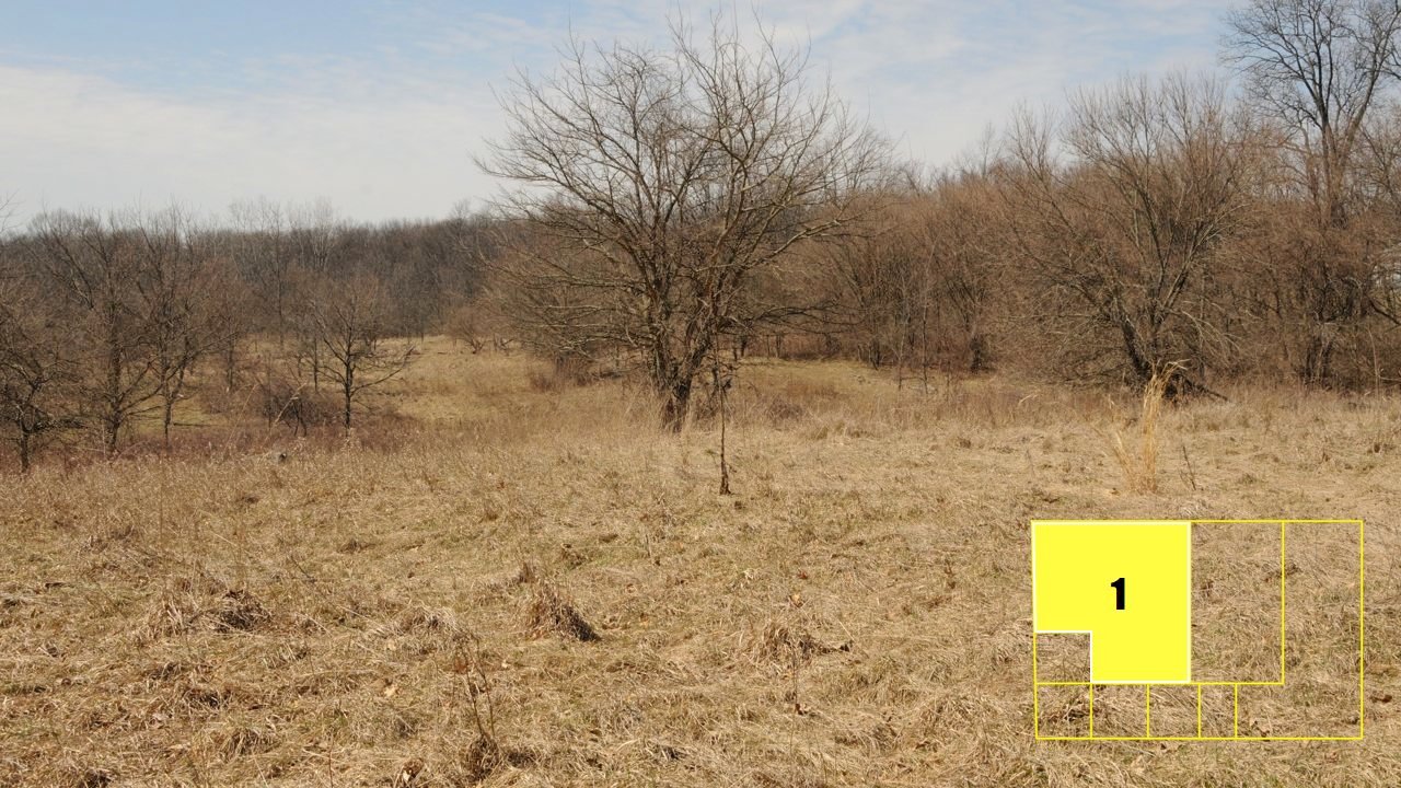 Property photo 14 - Real Estate Auction - 238 Acres Offered in 8 Tracts