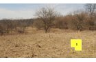 Property photo 14 - Real Estate Auction - 238 Acres Offered in 8 Tracts