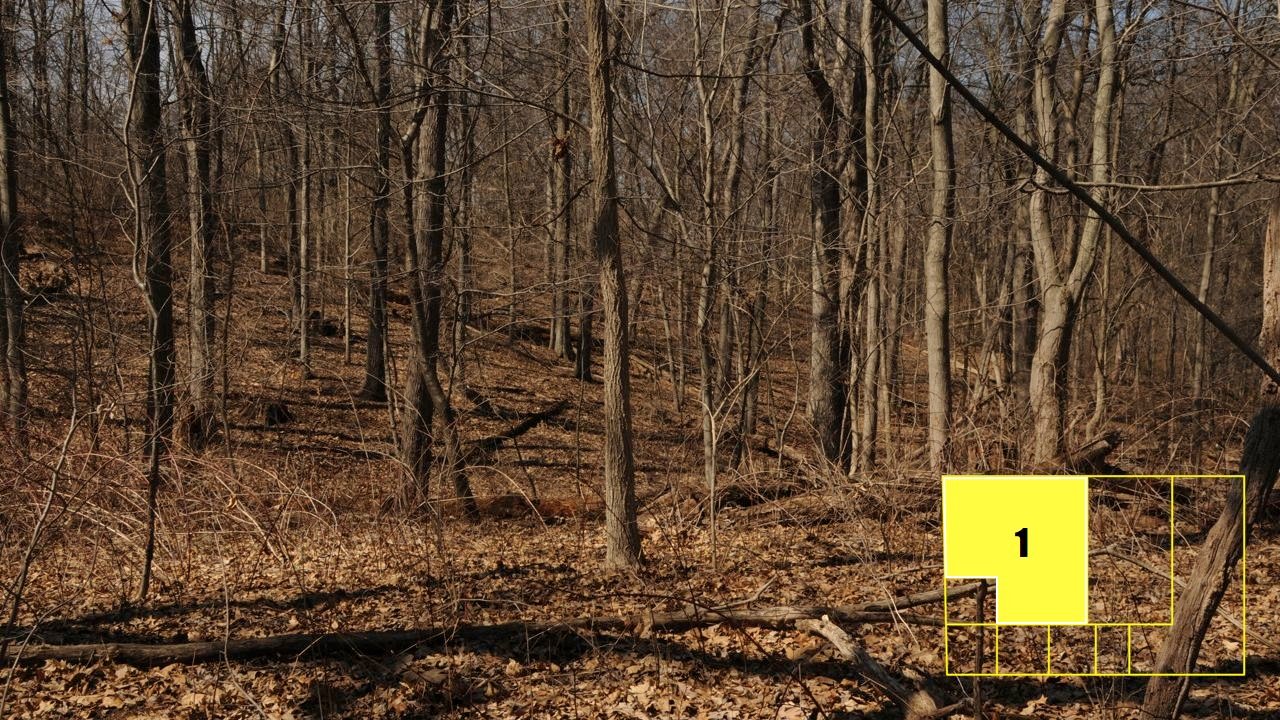 Property photo 15 - Real Estate Auction - 238 Acres Offered in 8 Tracts