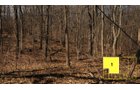 Property photo 15 - Real Estate Auction - 238 Acres Offered in 8 Tracts