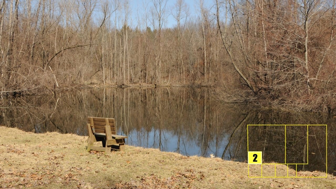 Property photo 18 - Real Estate Auction - 238 Acres Offered in 8 Tracts
