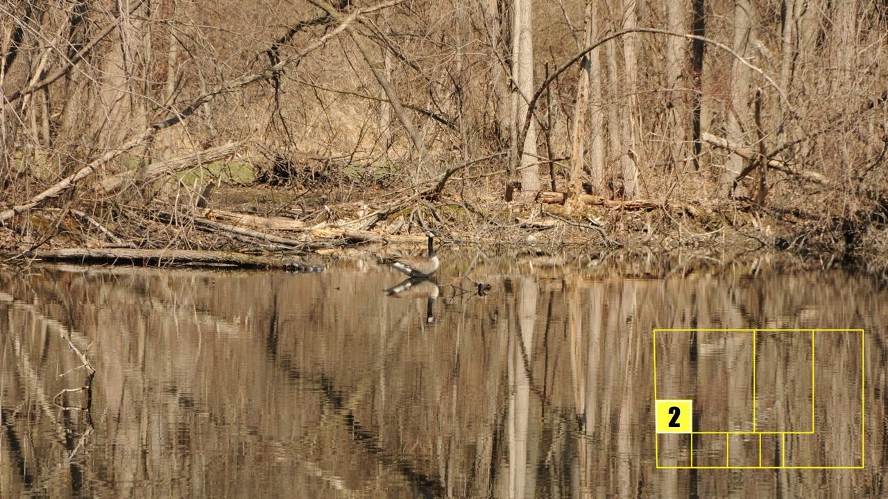 Property photo 19 - Real Estate Auction - 238 Acres Offered in 8 Tracts