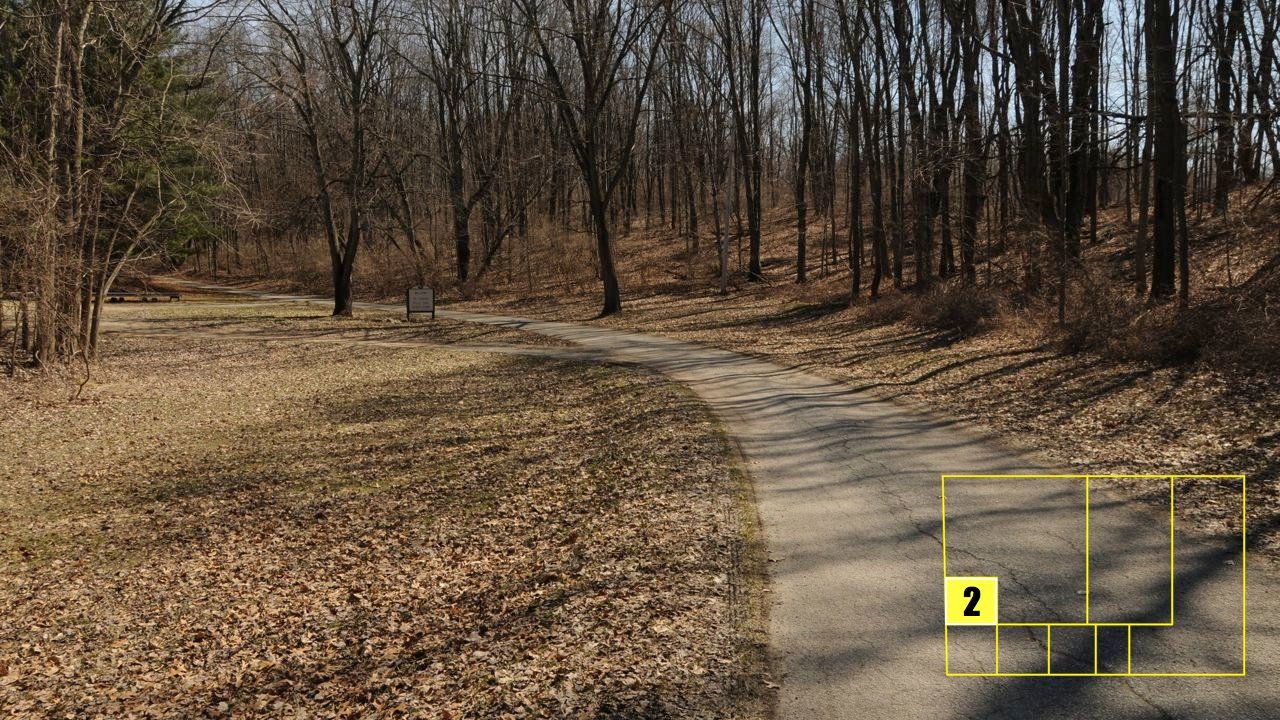 Property photo 20 - Real Estate Auction - 238 Acres Offered in 8 Tracts