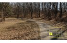 Property photo 20 - Real Estate Auction - 238 Acres Offered in 8 Tracts