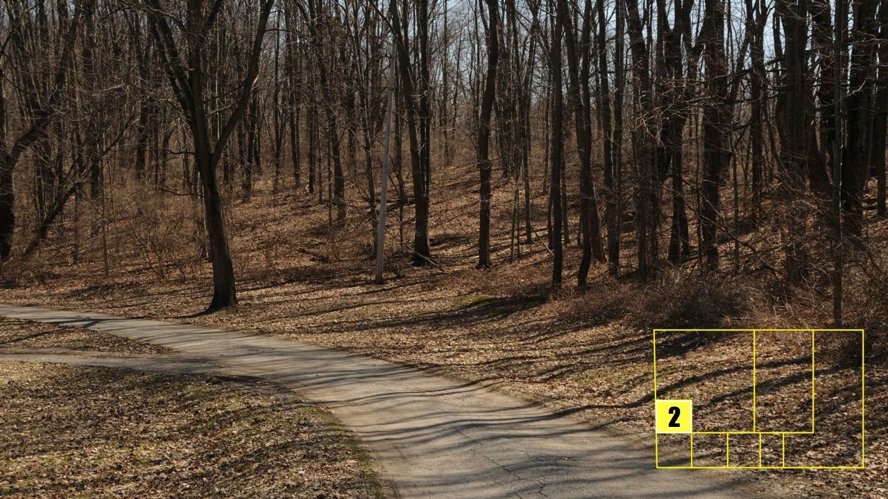 Property photo 21 - Real Estate Auction - 238 Acres Offered in 8 Tracts