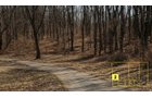 Property photo 21 - Real Estate Auction - 238 Acres Offered in 8 Tracts