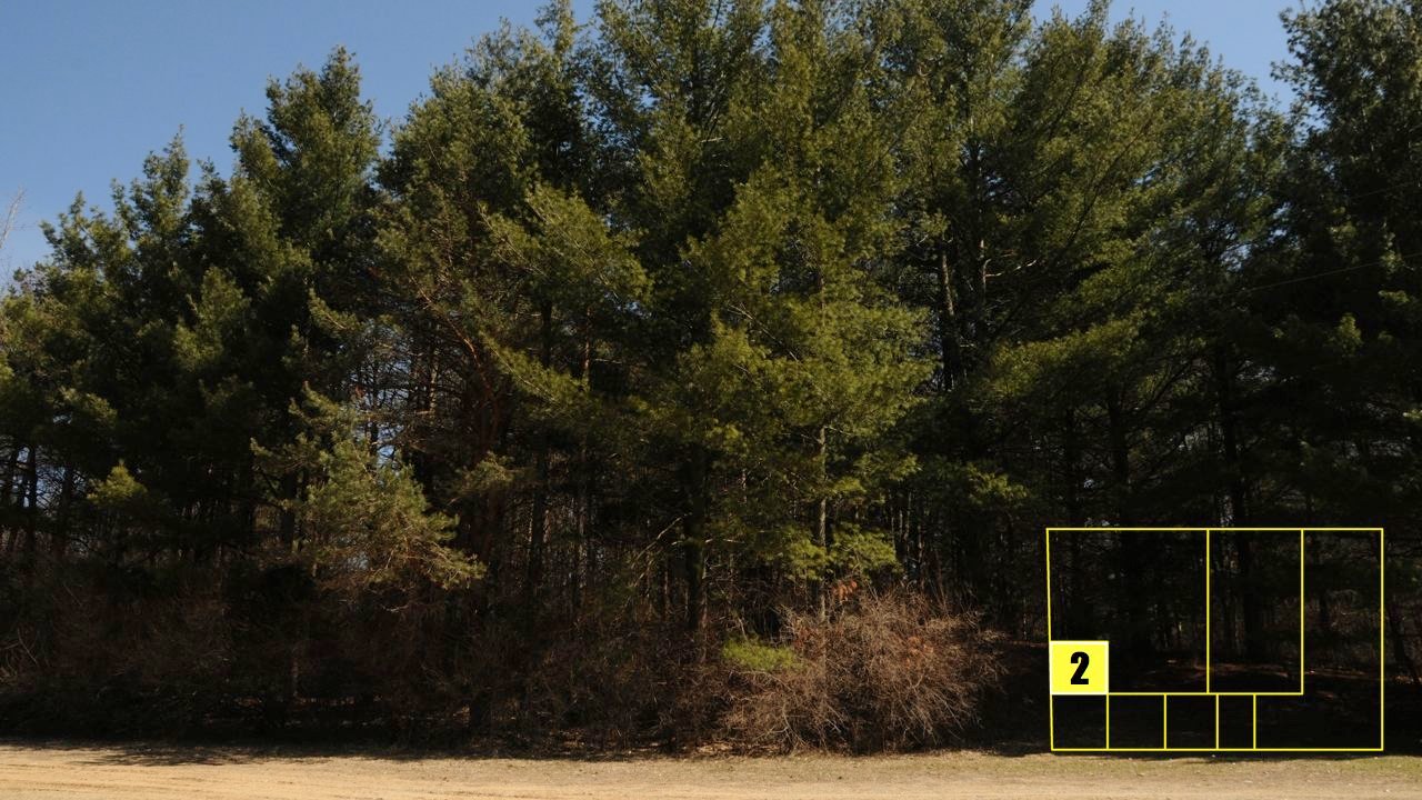 Property photo 22 - Real Estate Auction - 238 Acres Offered in 8 Tracts