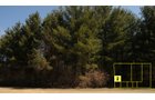 Property photo 22 - Real Estate Auction - 238 Acres Offered in 8 Tracts
