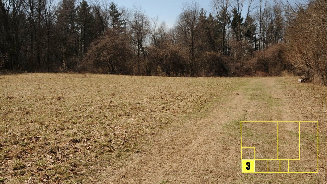 Property photo 24 - Real Estate Auction - 238 Acres Offered in 8 Tracts