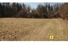 Property photo 24 - Real Estate Auction - 238 Acres Offered in 8 Tracts