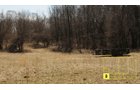 Property photo 25 - Real Estate Auction - 238 Acres Offered in 8 Tracts