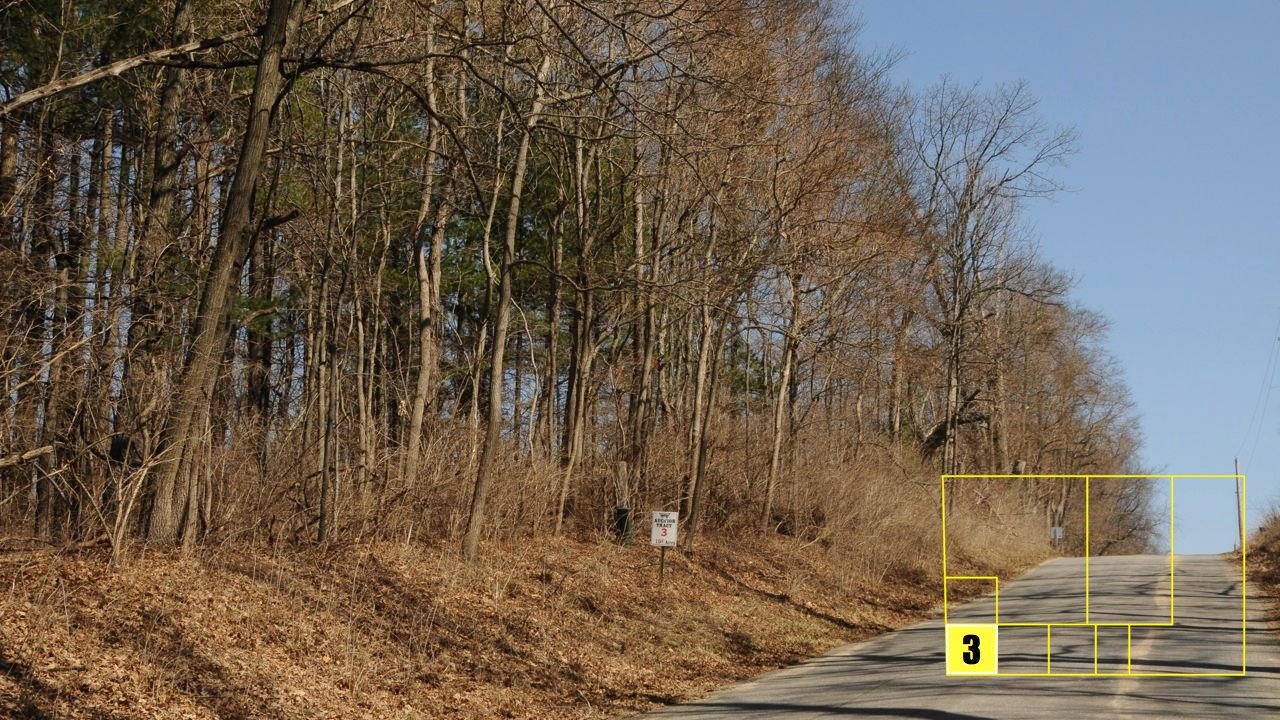 Property photo 26 - Real Estate Auction - 238 Acres Offered in 8 Tracts