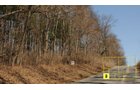 Property photo 26 - Real Estate Auction - 238 Acres Offered in 8 Tracts