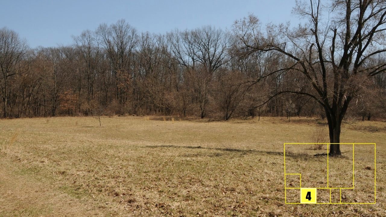 Property photo 28 - Real Estate Auction - 238 Acres Offered in 8 Tracts