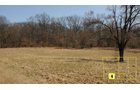 Property photo 28 - Real Estate Auction - 238 Acres Offered in 8 Tracts