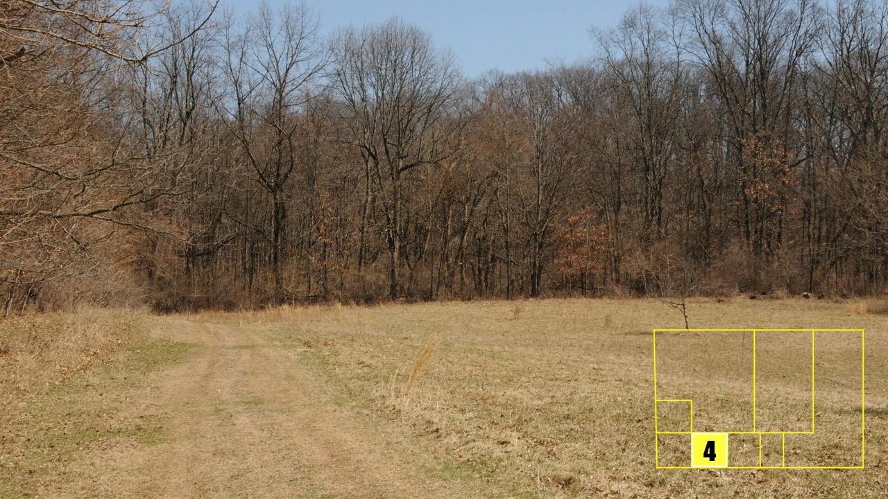 Property photo 66 - Real Estate Auction - 238 Acres Offered in 8 Tracts