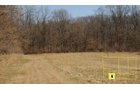 Property photo 66 - Real Estate Auction - 238 Acres Offered in 8 Tracts