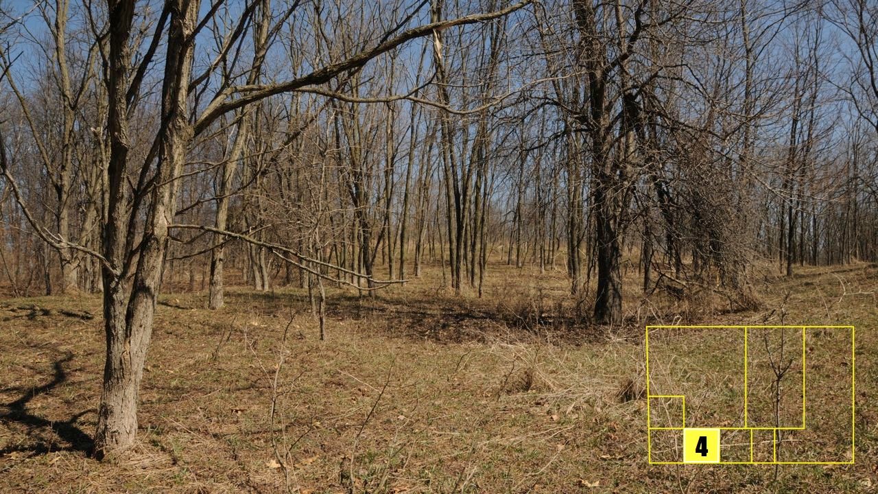 Property photo 29 - Real Estate Auction - 238 Acres Offered in 8 Tracts